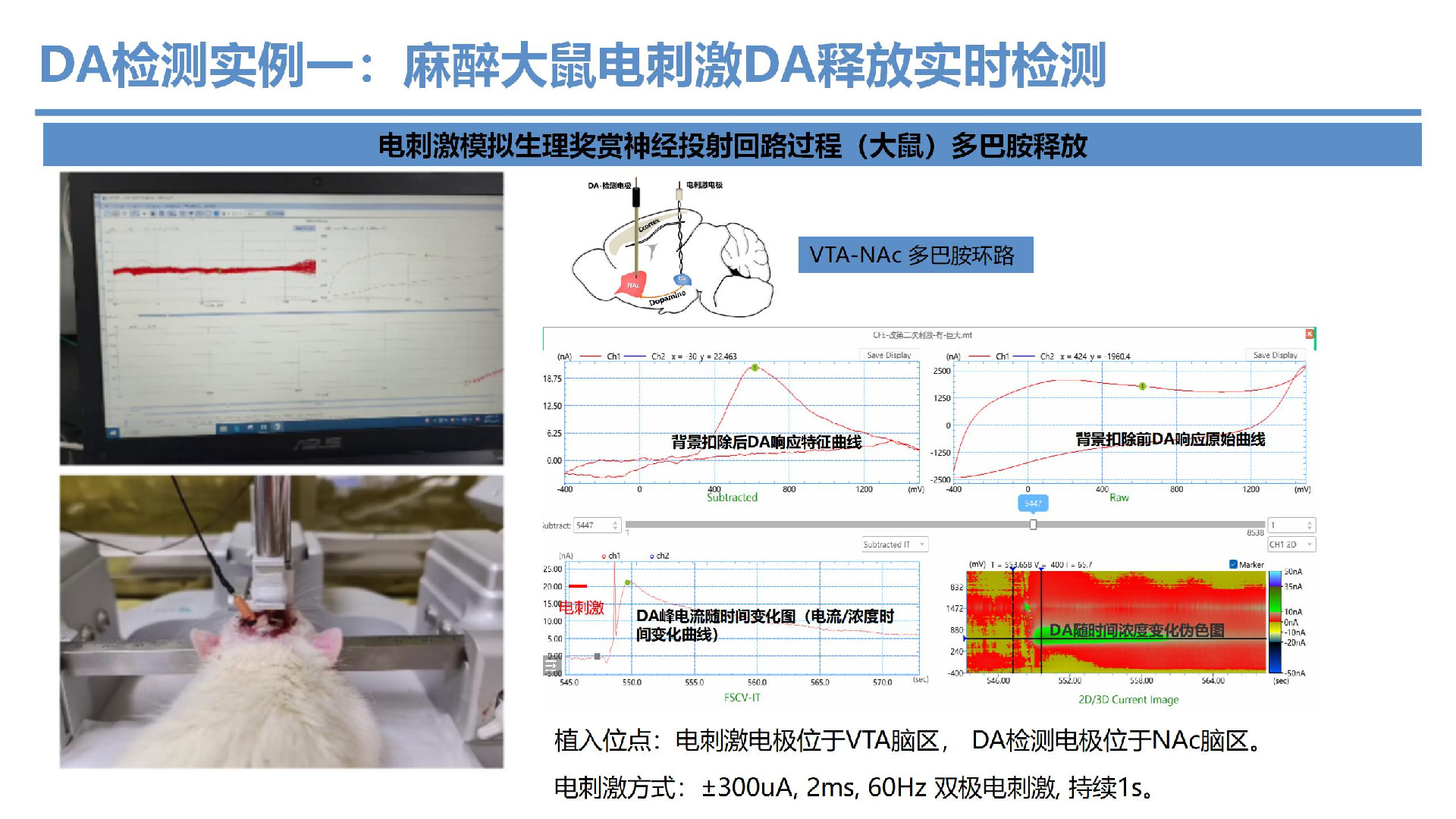 神经环路探索新方法 -脑化学物质实时分析系统-2025.06.05_01.jpg
