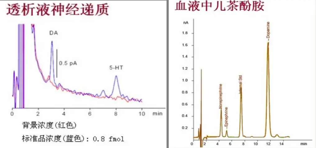 23 拷贝.png