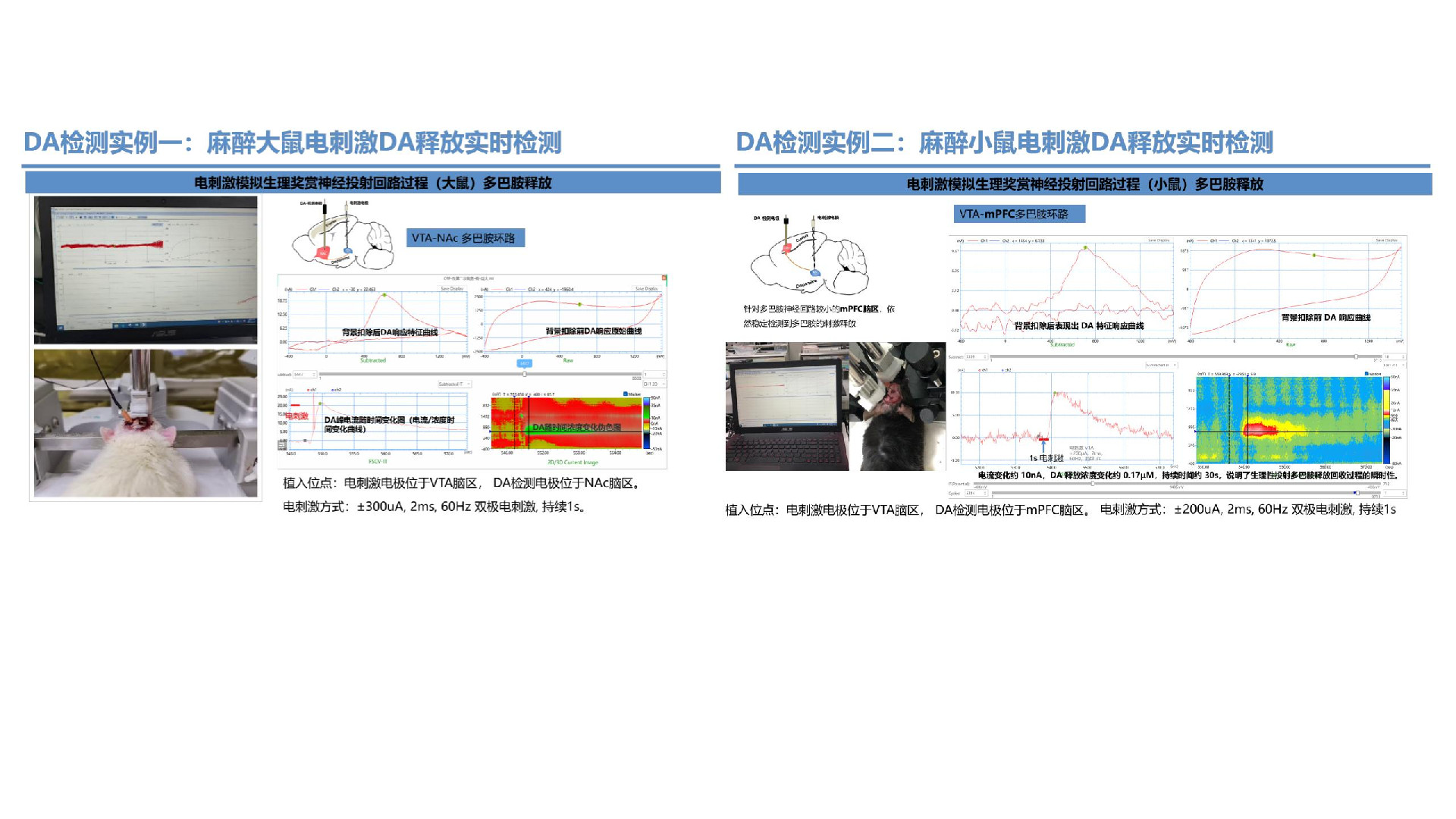 神经环路探索新方法 -脑化学物质实时分析系统-2025.06.05_01.jpg