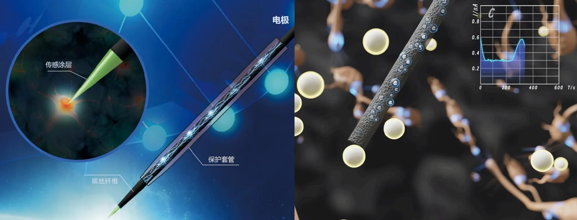 图片12 拷贝.png