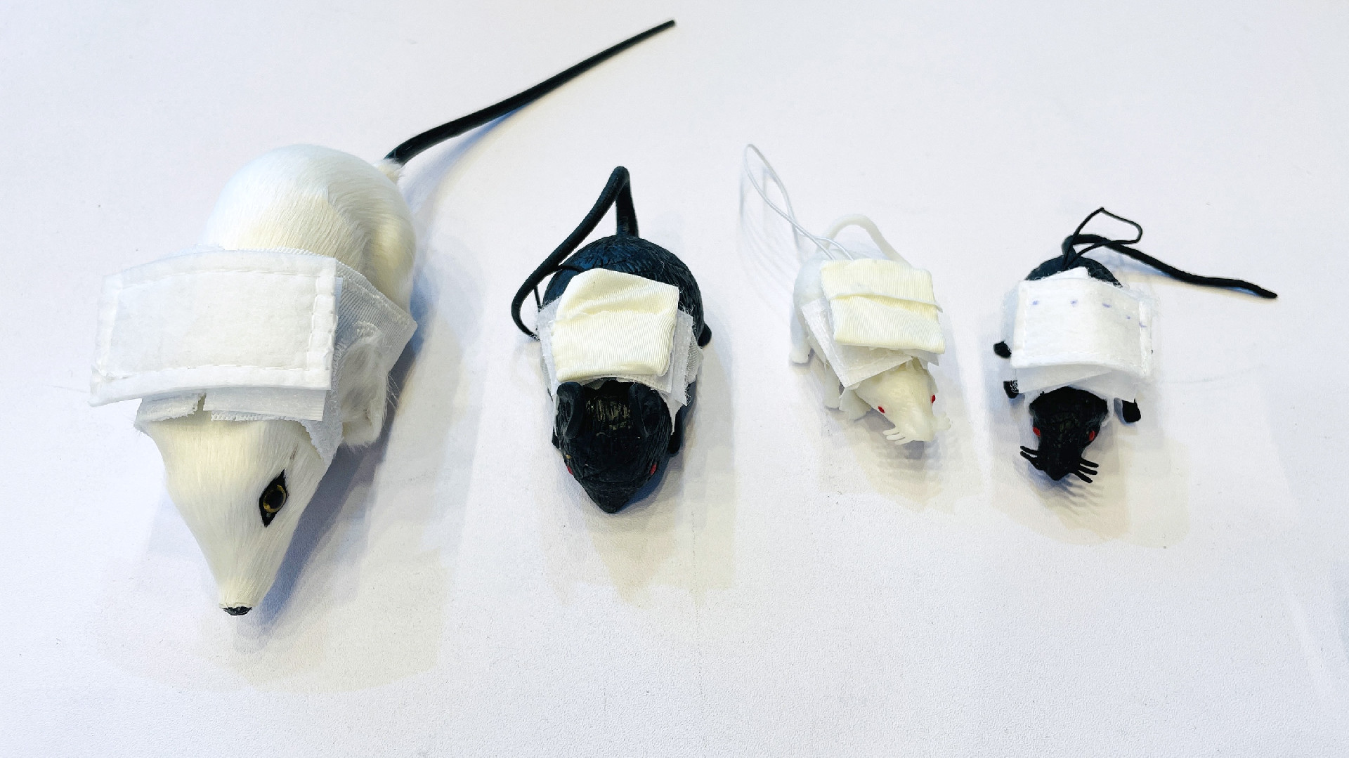 202509301003.jpg 7.jpg