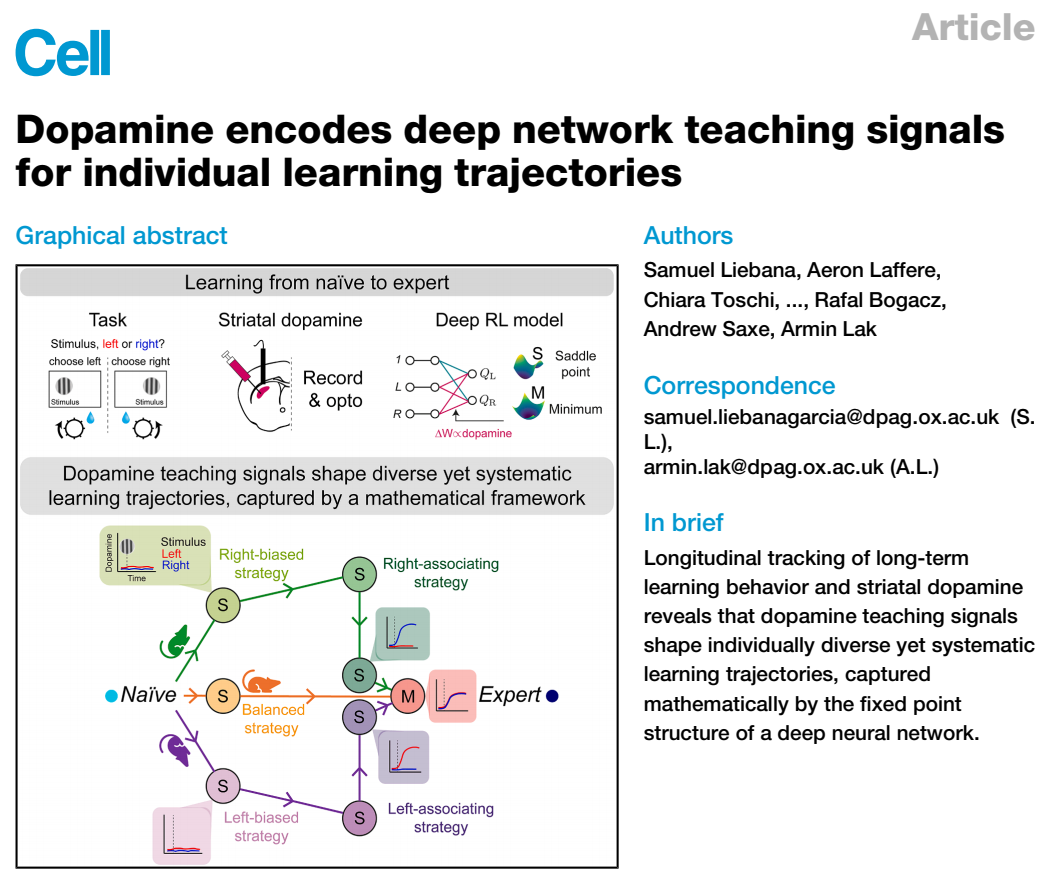 Cell | 多巴胺编码个人学习轨迹的深度网络教学信号