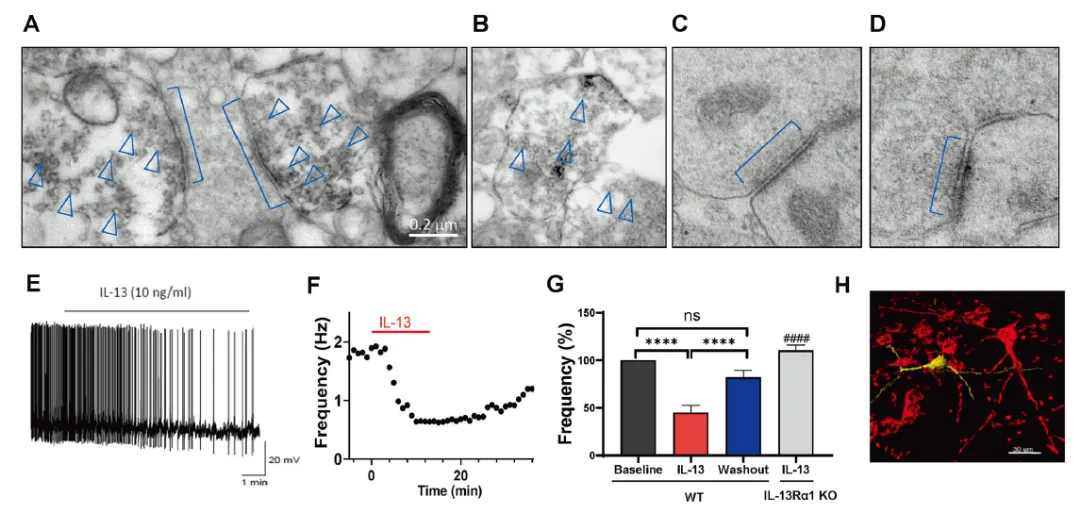 202601163606.png 图片3.png