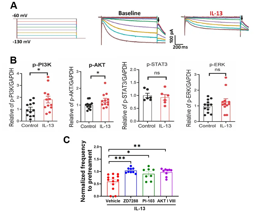 202601163949.png 图片5.png