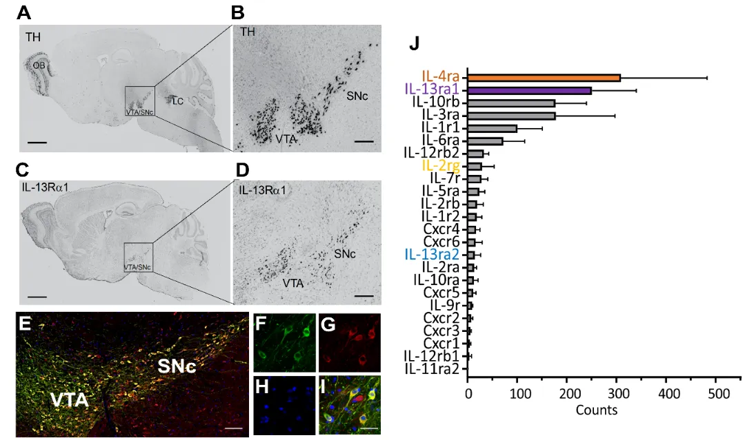 202601165126.png 图片2.png