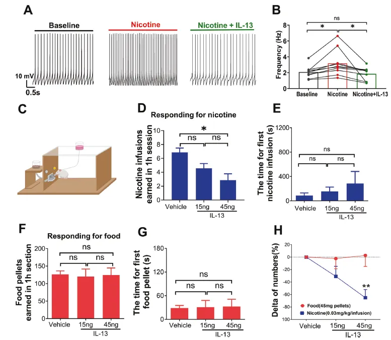 202601169051.png 图片4.png