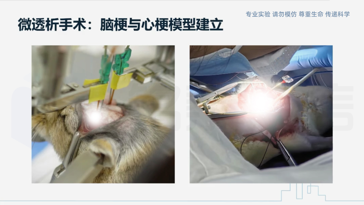 10 拷贝.jpg