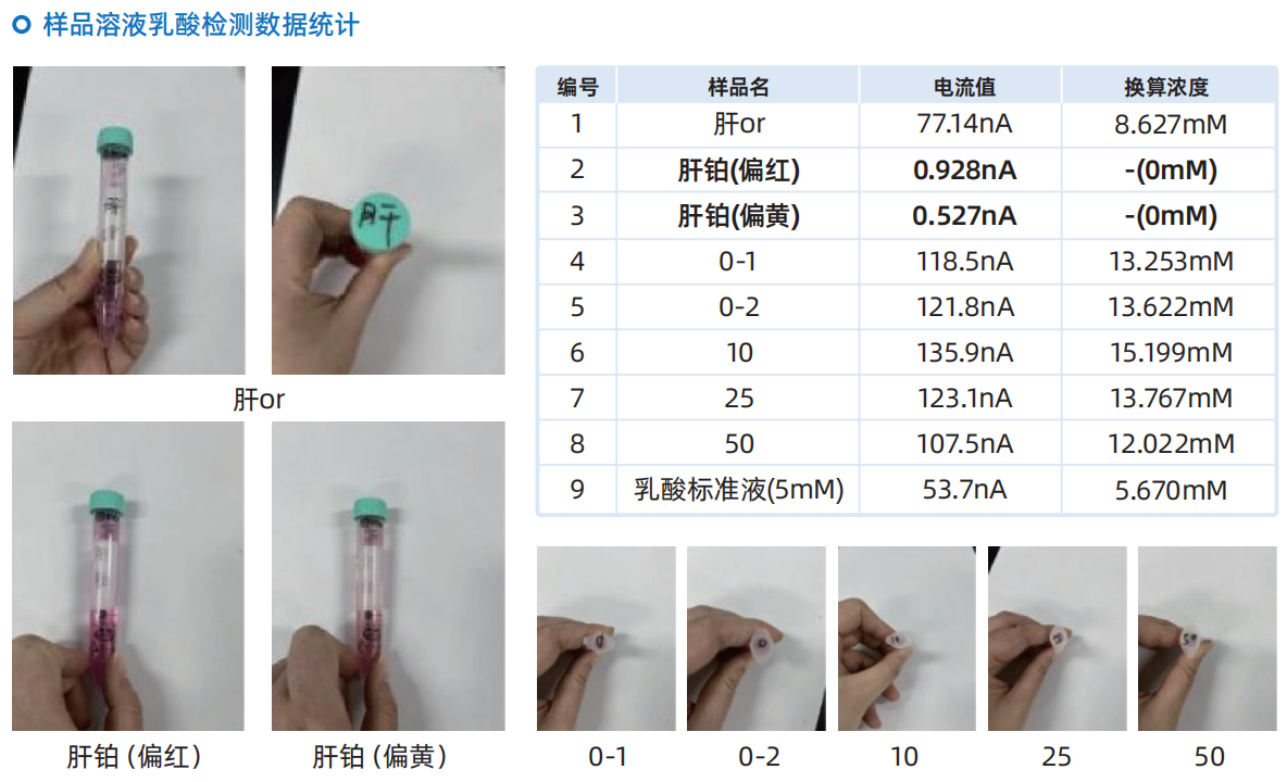 类器官培养环境乳酸基线检测